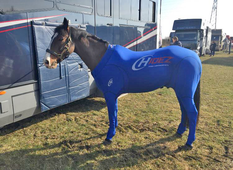 hidez equine suits