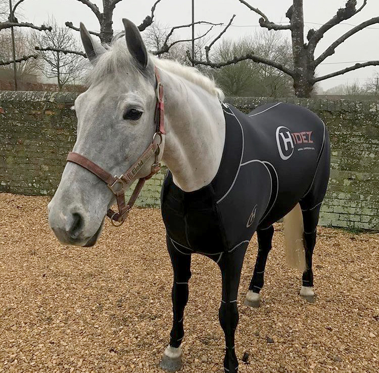 hidez equine suits