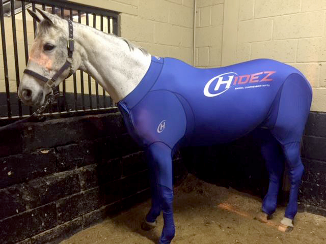 hidez equine suits