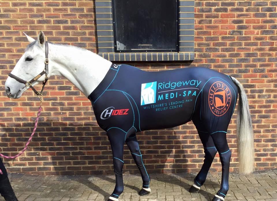 hidez equine suits