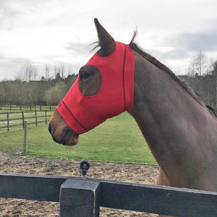 hidez equine suits