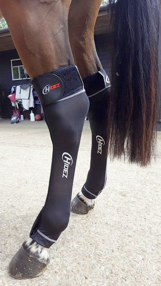 hidez equine suits